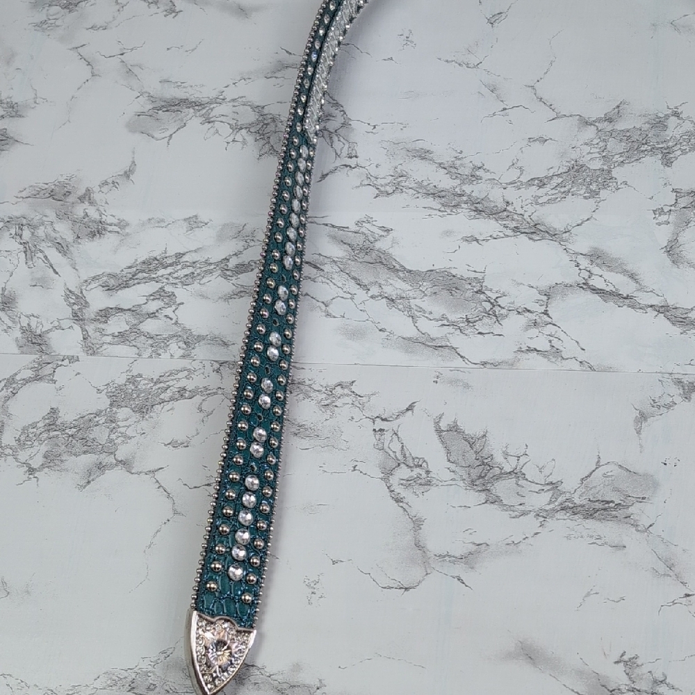 Chic Turquoise and Silver Embellished Belt - Picture 5 of 8